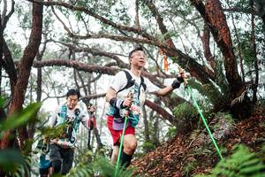 BIB: 
                            <button type="button" onclick="openModal(26300249)" class="btn btn-primary btn-sm float-right btn-popup" data-toggle="modal" data-target=".modal-high-quality">
                        <i class="fas fa-shopping-cart"></i> Add to Cart
                    </button>
                                            <button type="button" onclick="isThisMe(26300249, true)" class="btn btn-success btn-sm float-right btn-popup btn-isme hidden" data-toggle="tooltip" data-placement="bottom" title="นี่คือรูปของคุณใช่ไหม คลิกที่นี่เพื่อเอาเข้าอัลบั้ม">
                        <i class="fas fa-plus"></i> Add to album
                    </button>
                    <button type="button" onclick="isThisMe(26300249, false)" class="btn btn-warning btn-sm float-right btn-popup btn-isnotme hidden">
                        <i class="fas fa-ban"></i> Remove from album
                    </button>